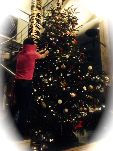 RTEOne's tweet image. Ah, an innocent image of #Ivor decorating the #RTE tree. On second thought, is he nicking ornaments? #TotesAmazeballs