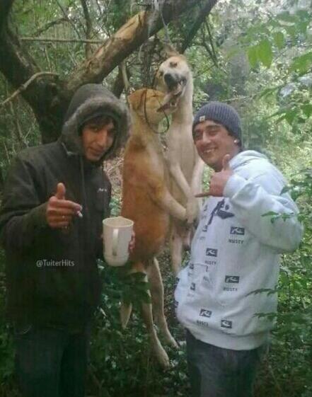 LadyCobainAgain's tweet photo. Difundid la foto de estos hijos de puta, a ver si pueden pillarlos. http://t.co/GowhdOnQn2