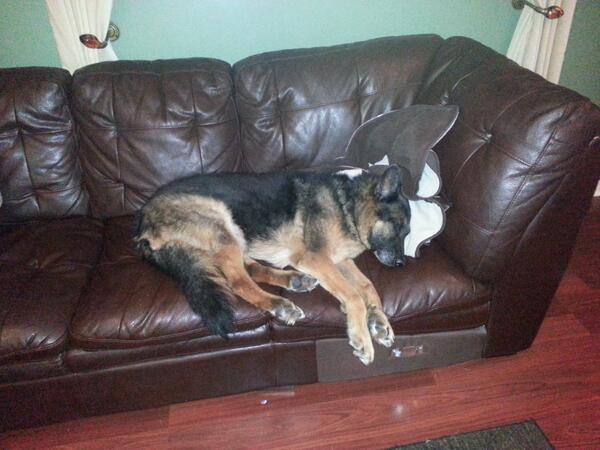 MissEmilyAnn's tweet photo. Tired from all the outdoor fun. #hardworker #sotired #passedout http://t.co/UdVBD5byJ5