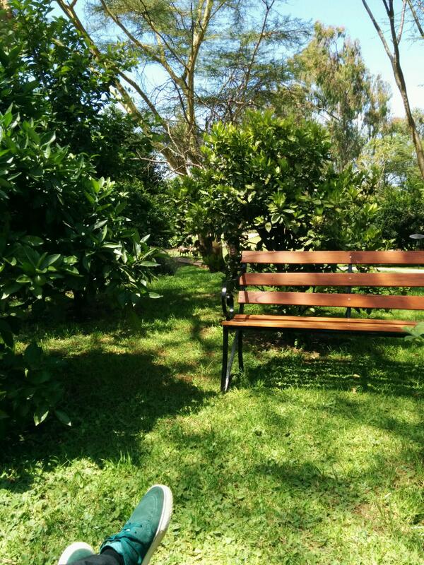 skddc's tweet image. @miksago Come over here. :) #hackerbeach