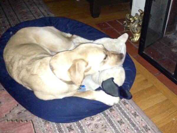 Sleeping with snoopy.  Lights out!
