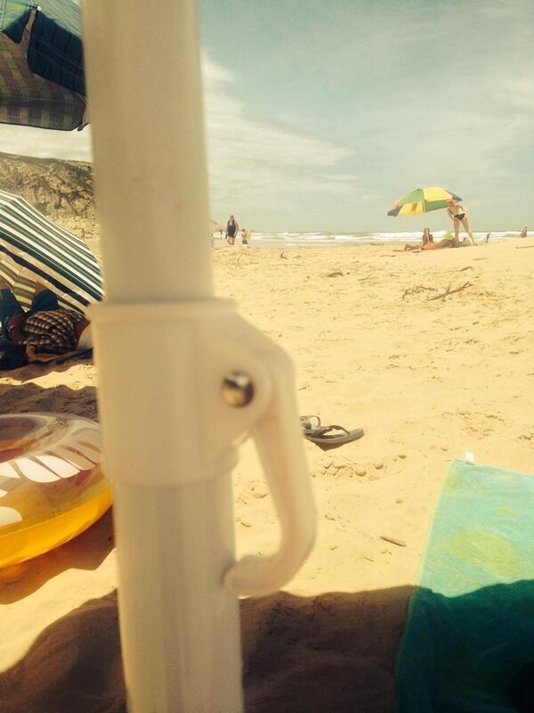 kenvanreenen's tweet photo. Sober Elephant doesn't want to fight.
Go home Octopus. http://t.co/V7qF9u0j0c