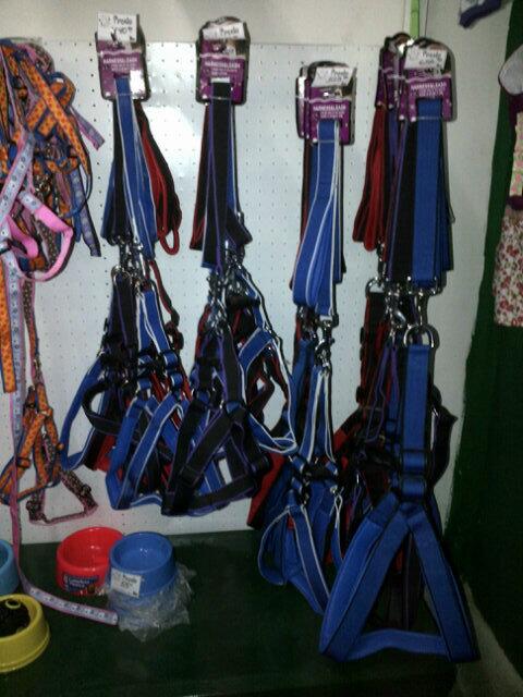 AnimalsSpa tweet picture