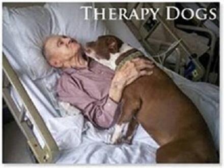 MUNDOANlMAL's tweet photo. Cuida de el,  sera tu mejor amigo hasta el final... http://t.co/tierWOgdlb