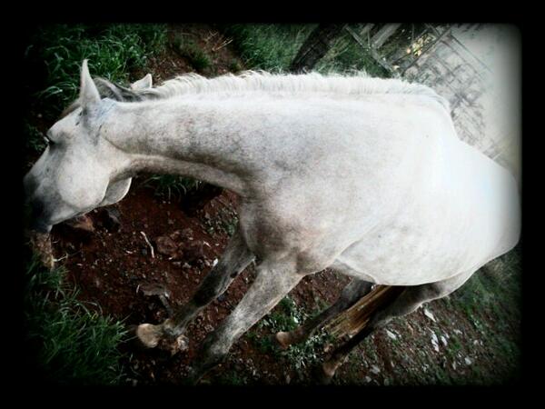 Jene (@jenevandenberg) on Twitter photo 