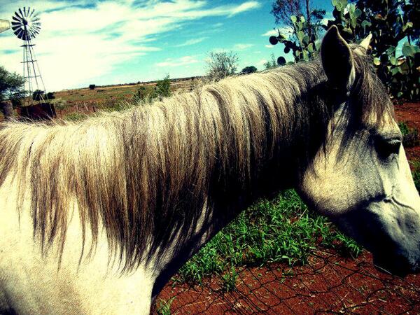 Jene (@jenevandenberg) on Twitter photo 