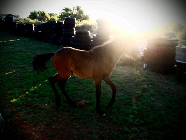 Jene (@jenevandenberg) on Twitter photo 