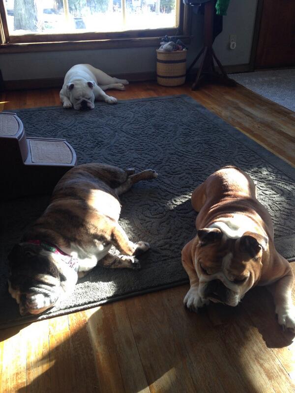 PORTERHOUSE tweet media