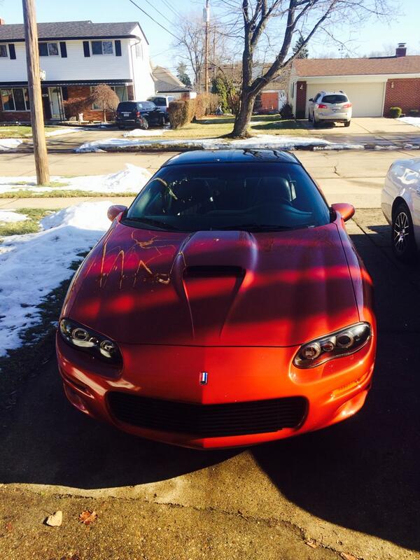 Tw1tt3rl3ssMik3's tweet image. Such a pretty day out, I had to let her stretch her legs! #LS1Tech #ls1