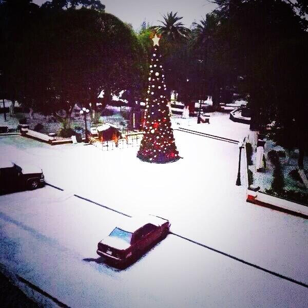 XavierMcCool's tweet image. Feliz año