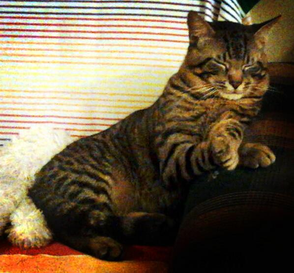 abendivar's tweet photo. http://t.co/2wBq8cN2gB