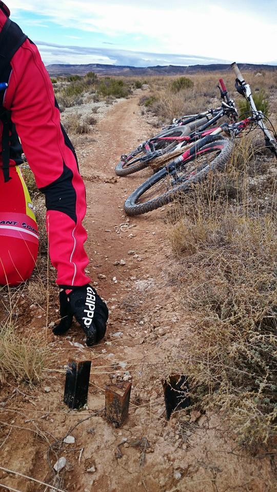 sergiomantecon's tweet photo. Atención compañeros! Están poniendo estacas clavadas en mitad de los senderos para "evitar" que pasen ciclistas... RT http://t.co/Hjsu7L9MHr