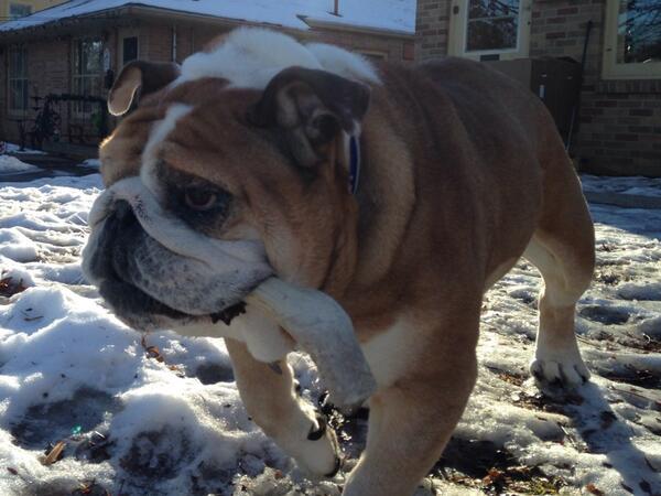 PORTERHOUSE tweet media