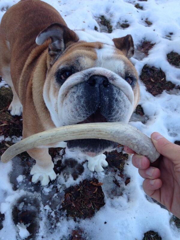 PORTERHOUSE tweet media
