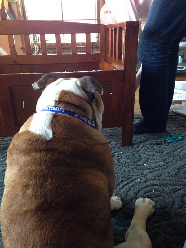 PORTERHOUSE tweet media