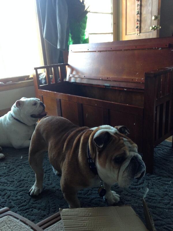 PORTERHOUSE tweet media