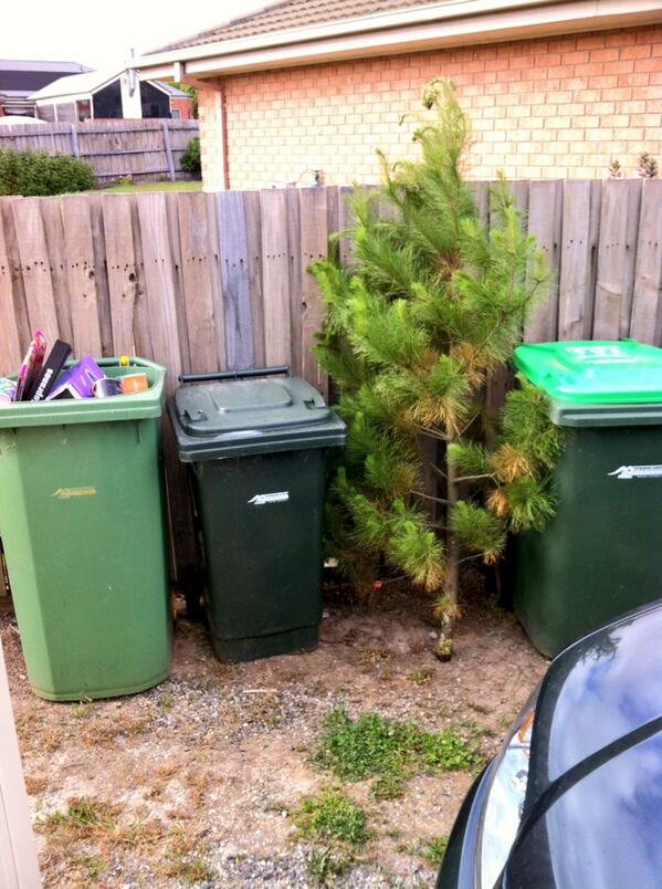 It's been quite a ride, #tilnextyear #nomadschristmasfarm @lindsayhillRE <a href="/SalterTristan/">Tristan Salter</a> <a href="/ebonyking1407/">Ebba</a> <a href="/BanjoSalter/">Prue Salter</a>