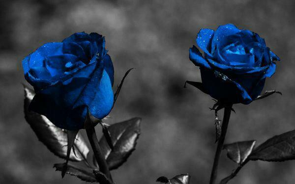 01Rafy's tweet photo. For those beatiful ladies here!!!! http://t.co/aIPXmycJFt
