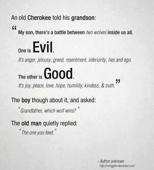 tripwisdom's tweet image. 