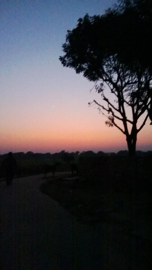simply_shipra's tweet image. Sunset. #Rajasthan #NativePlace I'm lovin' it! ^_^