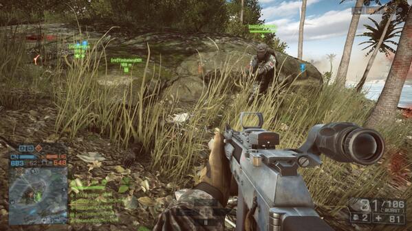 Daniel Zacutti tweet media