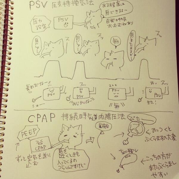 看護師のかげさん イラスト看護帖書籍化 Sur Twitter 人工呼吸器のモード Psv圧支持換気法 Pressure Support Ventilation Cpap持続的気道陽圧法 Continuous Positive Airway Pressure Peepをかける Http T Co Ahzjczcyil