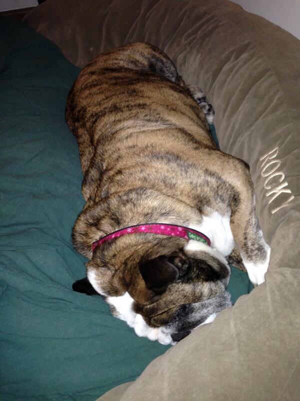 PORTERHOUSE tweet media