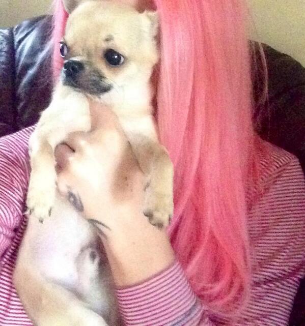 MissKaseyMorgan's tweet photo. Toby rocking my new hair doo :D http://t.co/m0mexN4EuW