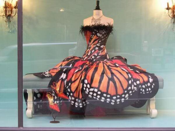 HonestToddler's tweet photo. HOW MANY BUTTERFLIES HAVE TO DIE SO YOU CAN FEEL PRETTY? ANSWER ME http://t.co/EX474XQ501
