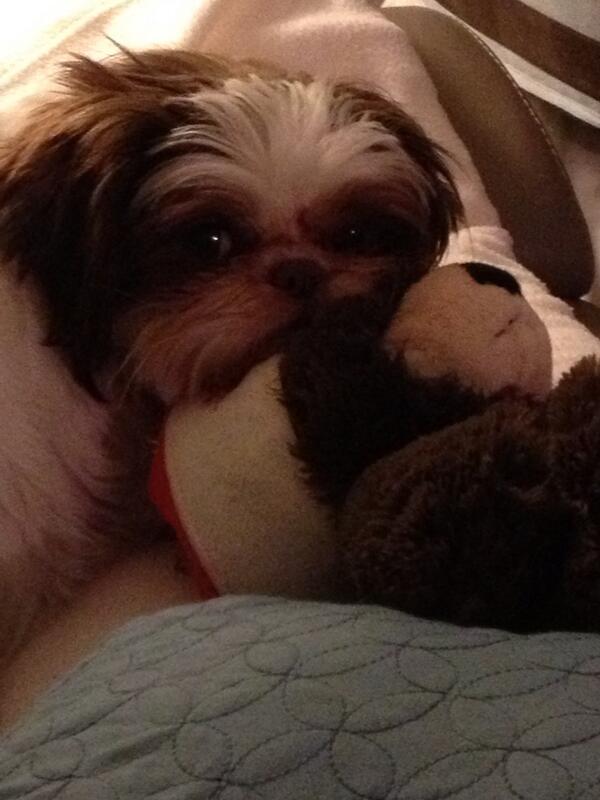 Darn Christmas is over mom!!!