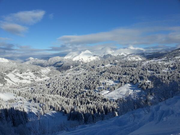 jtwright96's tweet photo. Bliss http://t.co/B1QTDuERWy