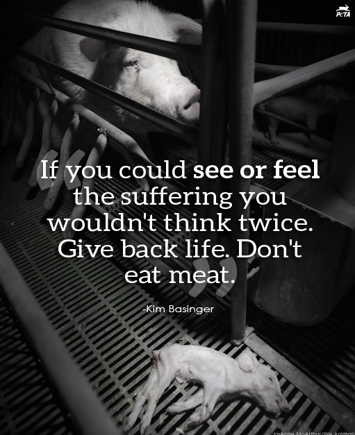 peta's tweet image. RT if you agree with Kim Basinger! #Reasons2GoVegan in 2014: