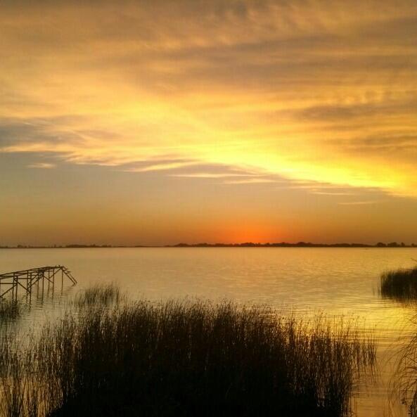 Link permanente da imagem incorporada