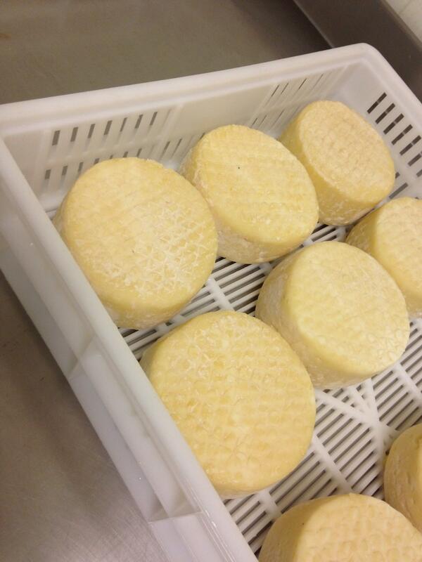 DuplaBox's tweet image. Stagionatura nelle nostre casse grigliate per le caciotte del Caseificio Ilfa di Brescia