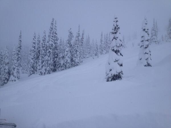 Lots of powder in McBride BC.