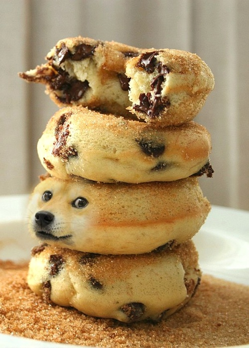TeenDoge's tweet photo. Wow. Delicious. Such Dogenut. #TeenDoge @TeenDoge #Shiblicious #Dogenut #ChocoloateChipDoge

http://t.co/nVZYJGNDgq http://t.co/sTTNhINpm2