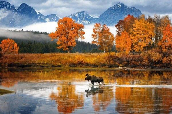 Ur4thLineProbs's tweet image. Does this picture say Canada or what!?