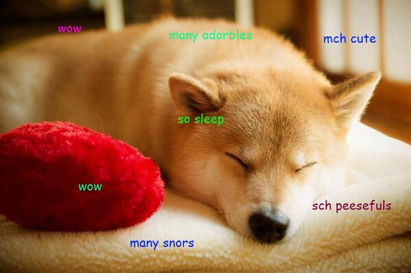 TeenDoge's tweet photo. Wow many tweets.  Much tired.  #RT if you luv Doge.  More tweets tomorrow!
#TeenDoge #doge #cute #retweet http://t.co/lgfkKcpMzN