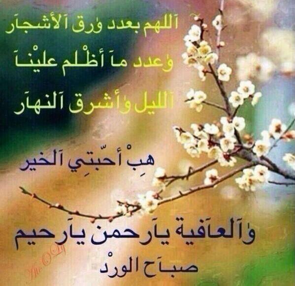 MfbKsa2013's tweet photo. http://t.co/GOXEGEYoJp