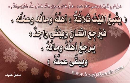 MfbKsa2013's tweet photo. http://t.co/uSTsFZO7rQ