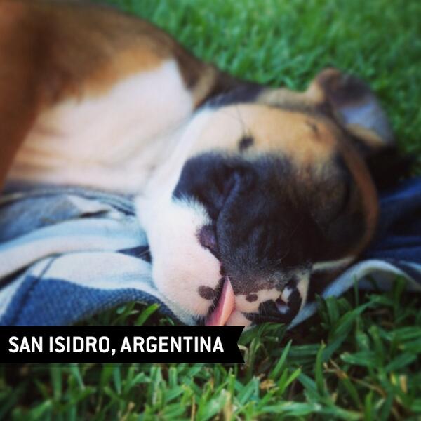 JulietaTesta's tweet photo. Travelgram: SAN ISIDRO, ARGENTINA 29/12/13 18:53 via @TravelgramApp http://t.co/iT8nDIJE2R