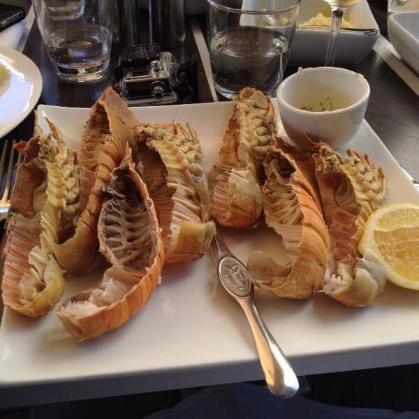 basskleph's tweet image. #buggered