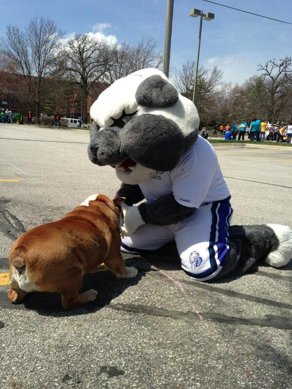 SpikeAtDrake's tweet image. RIP @DUPorterhouse you will be extremely missed by everyone that knew you, especially me!