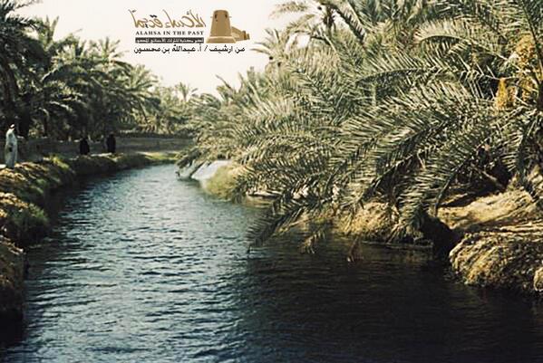 الأحساء قديماً tweet media