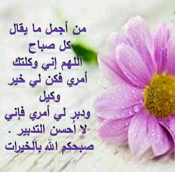 aa001o7 tweet picture