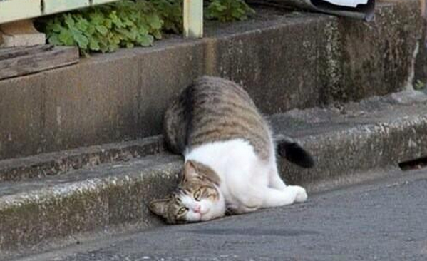ellnezto's tweet photo. current mood http://t.co/r8TVbi3Bzb