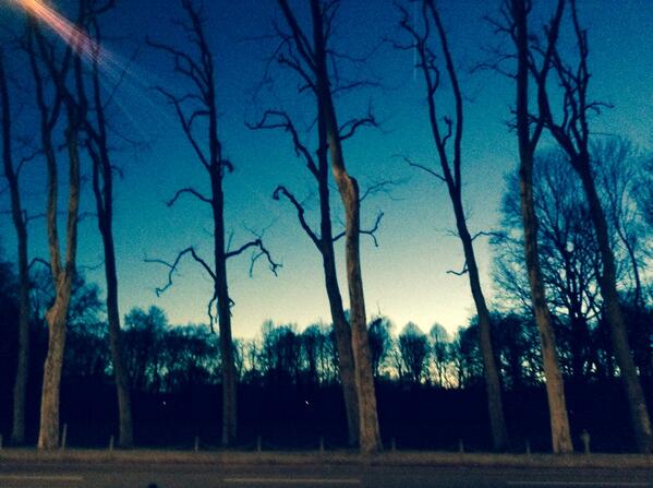 wayroundother's tweet photo. Stunning #twilight on our walk through Treptower park this afternoon. Now to recoup ahead of #Berlin by night! http://t.co/1XP1KEbAhe