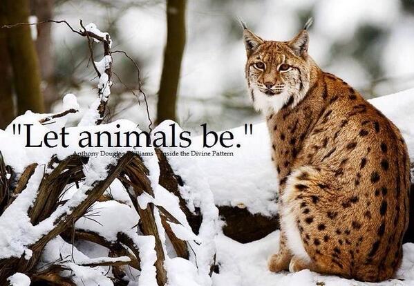 squintfiAl tweet picture