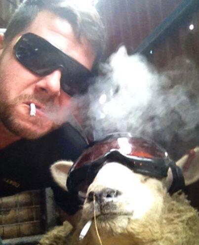 Embedded image permalink