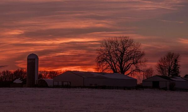 The Barn streamzoo.com/i/14489706